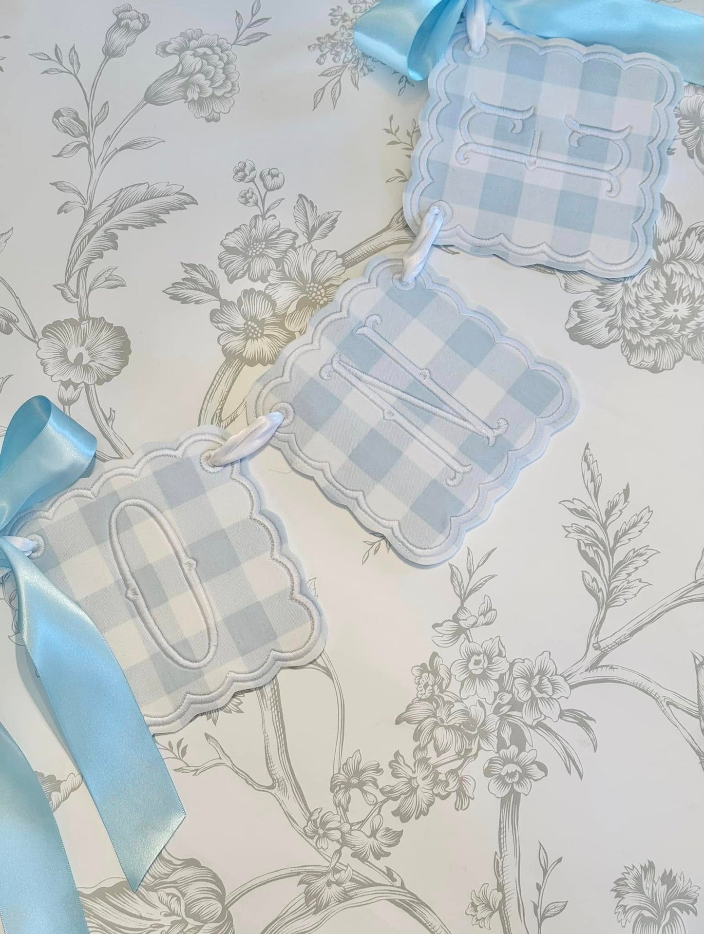 Blue Gingham Birthday Suite (Outfit Not Included)