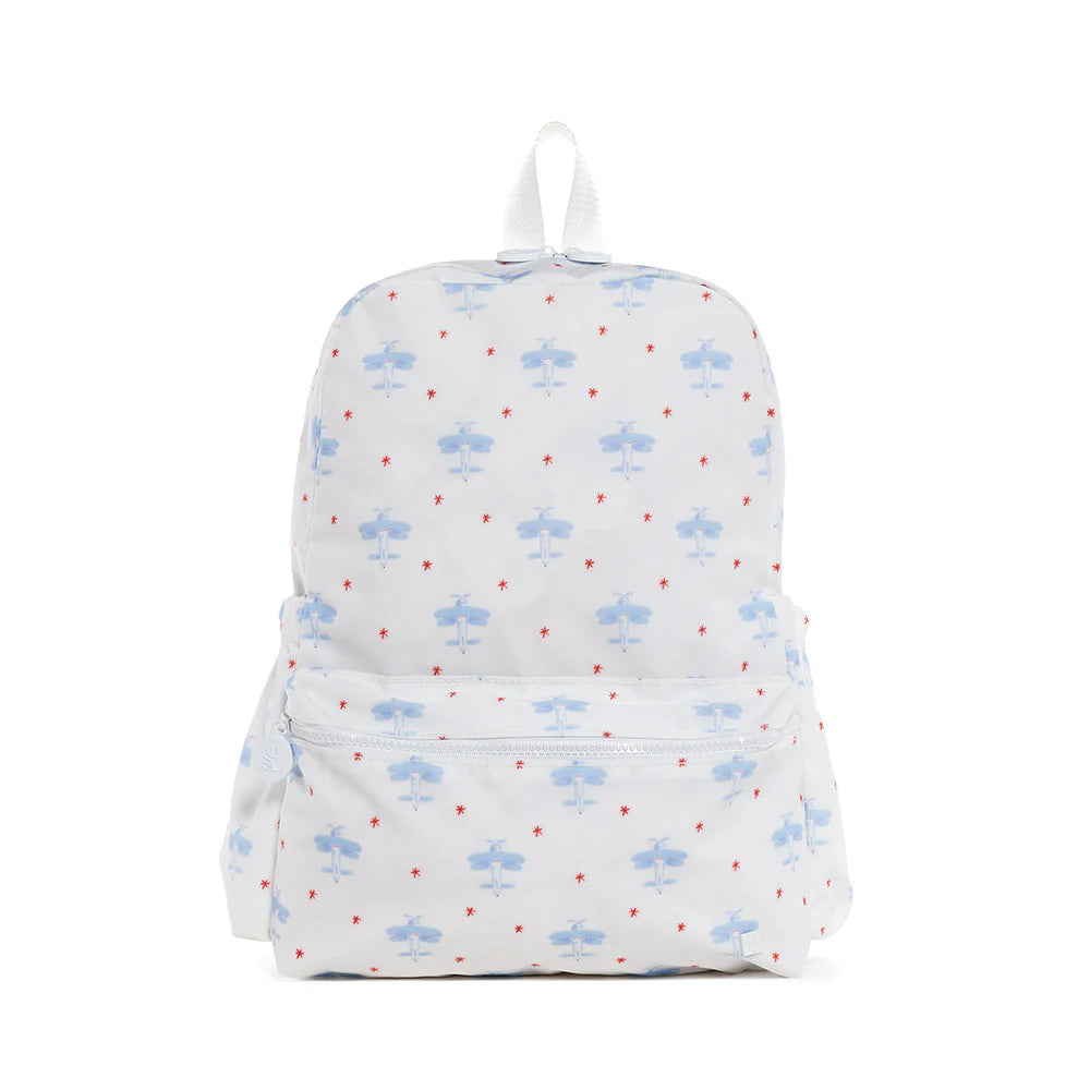 TRVL BACKPACKER - DAVID'S AIRPLANES